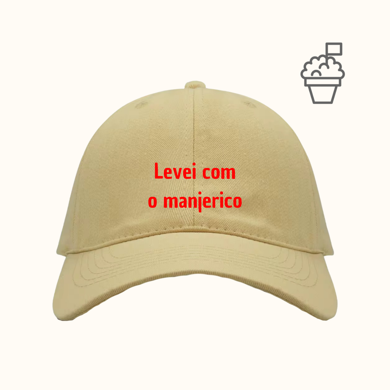 Levei com o manjerico