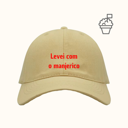 Levei com o manjerico