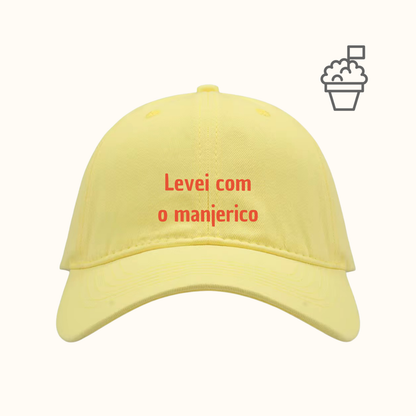 Levei com o manjerico