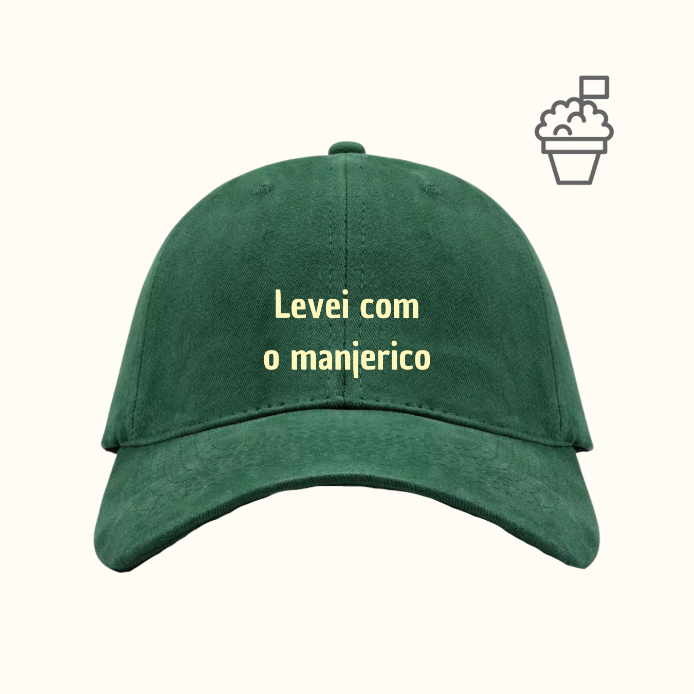 Levei com o manjerico