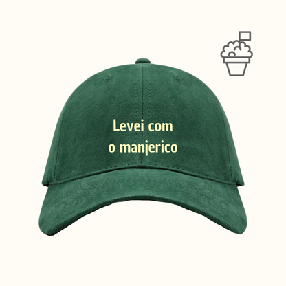 Levei com o manjerico