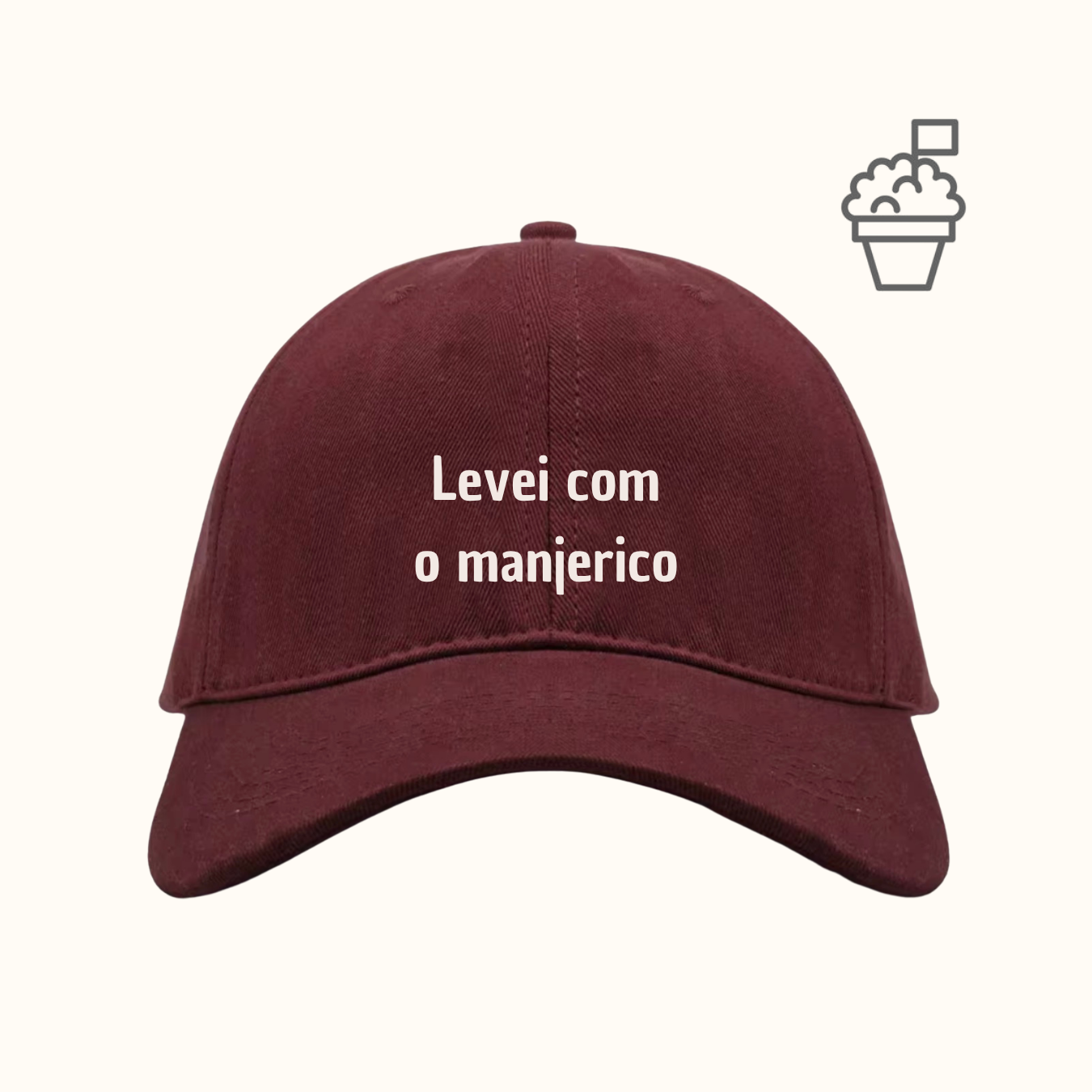 Levei com o manjerico