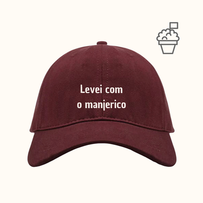 Levei com o manjerico