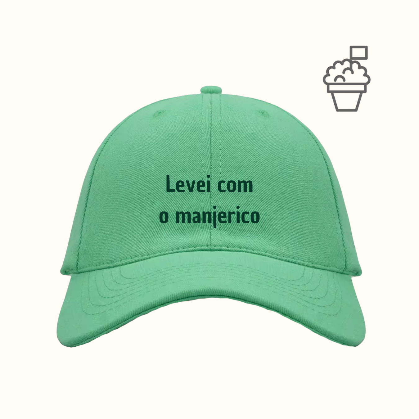 Levei com o manjerico