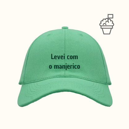 Levei com o manjerico