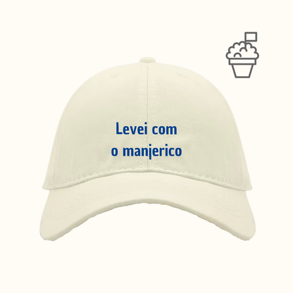 Levei com o manjerico