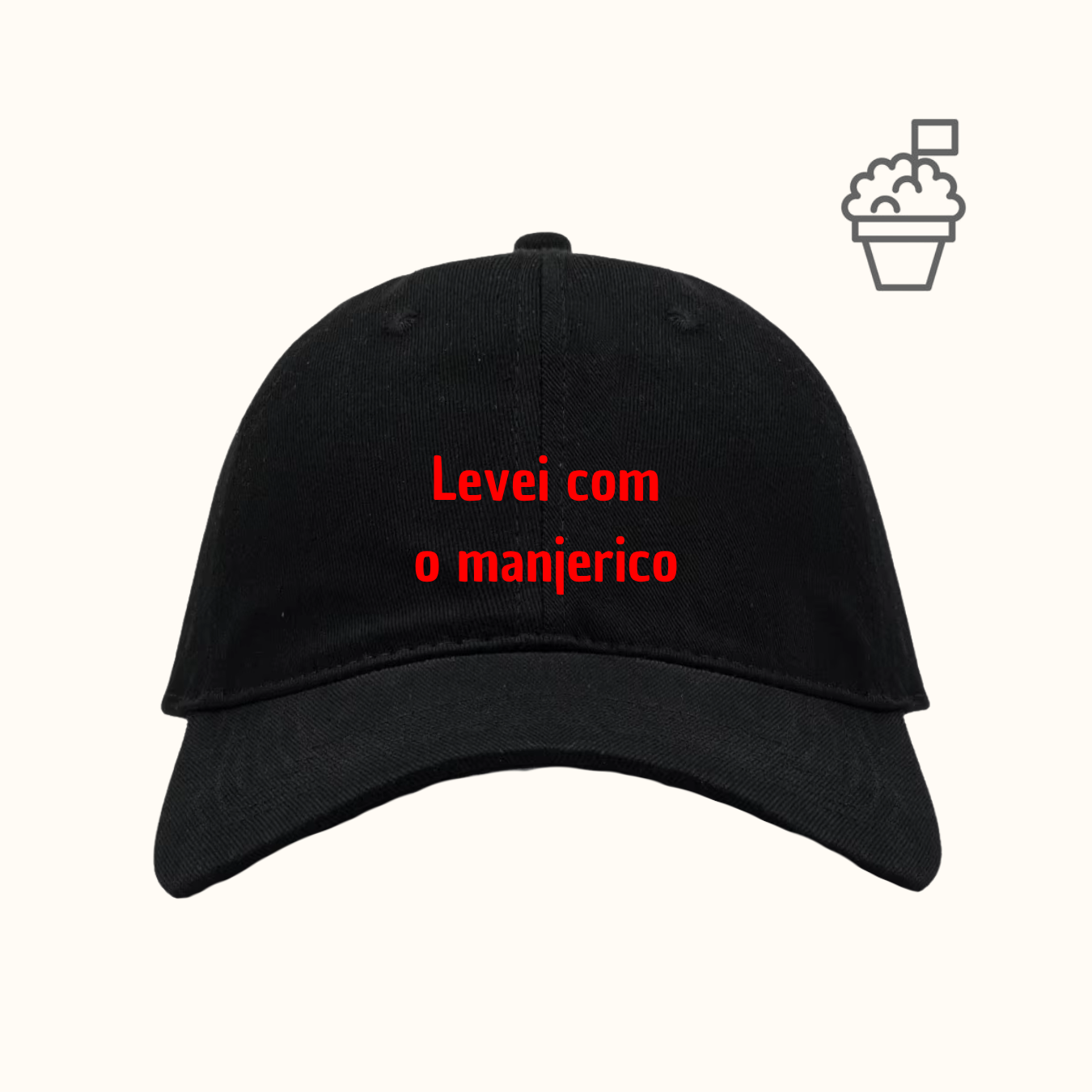 Levei com o manjerico