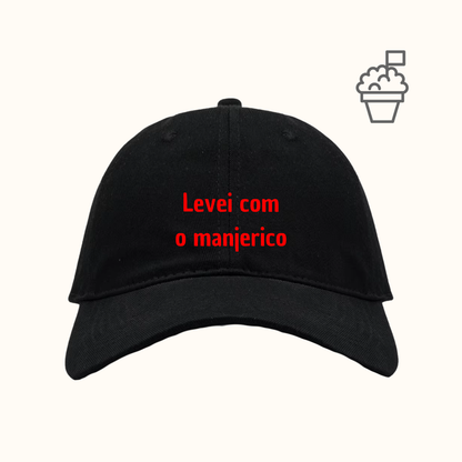Levei com o manjerico