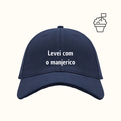 Levei com o manjerico