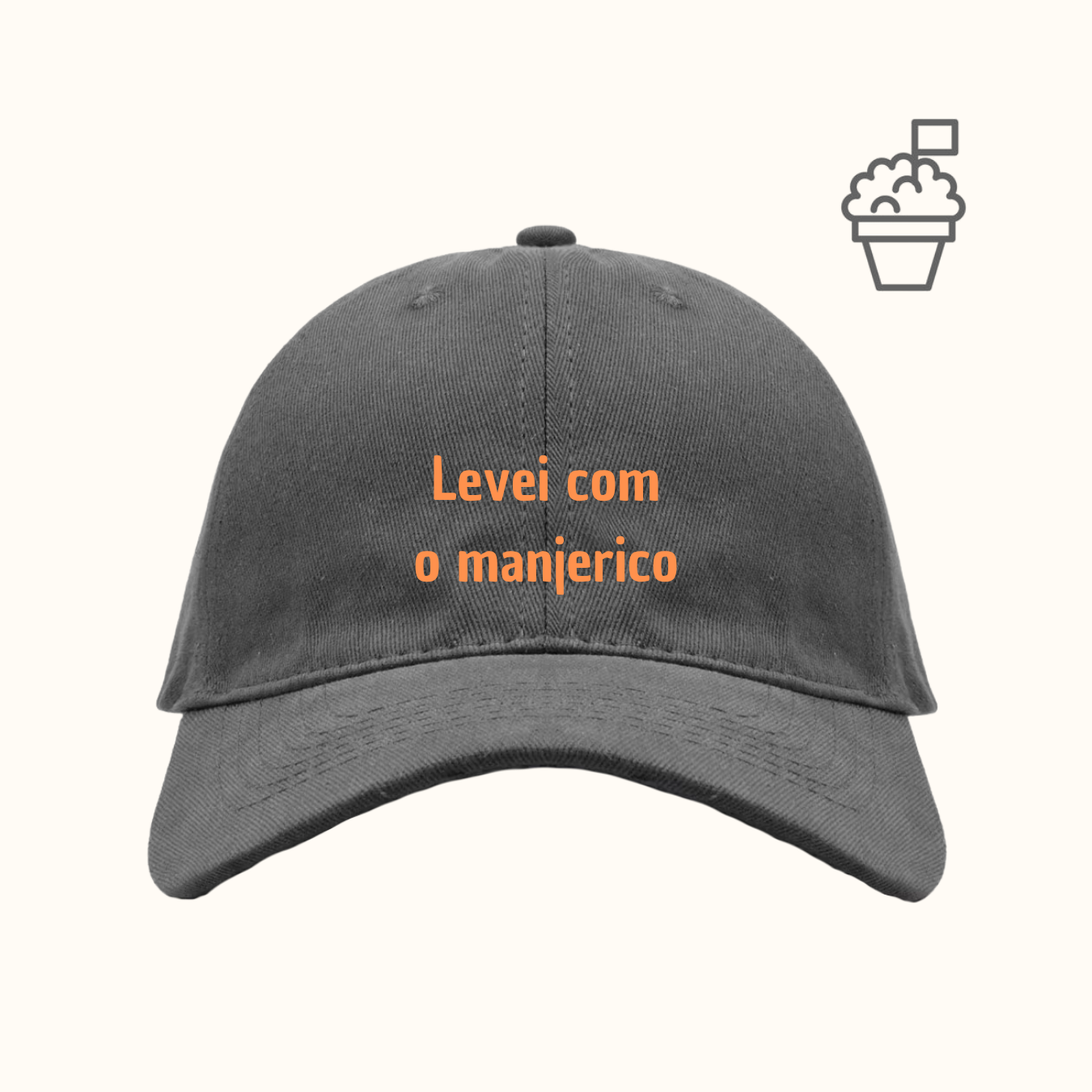 Levei com o manjerico