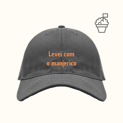 Levei com o manjerico