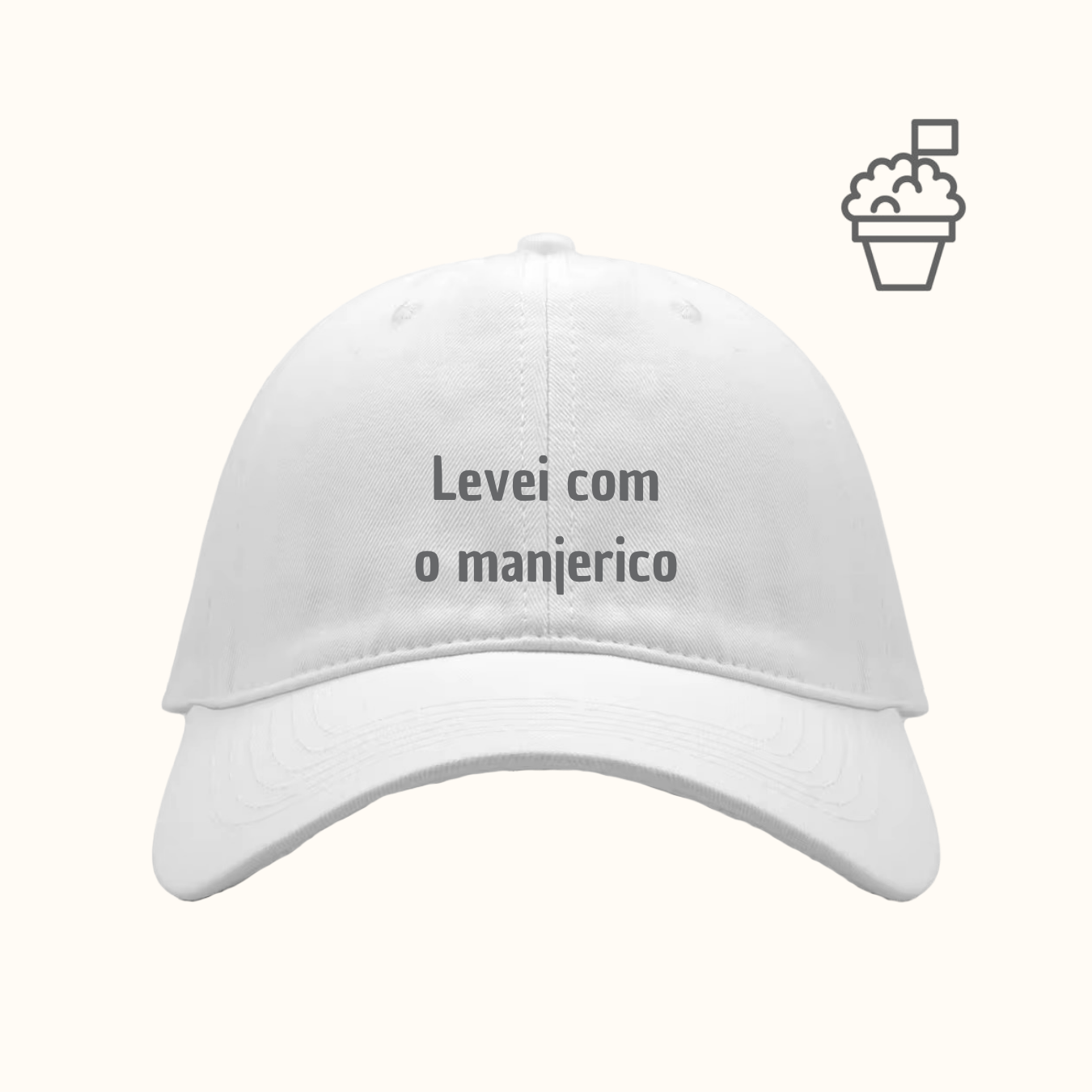 Levei com o manjerico
