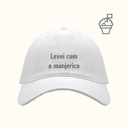 Levei com o manjerico