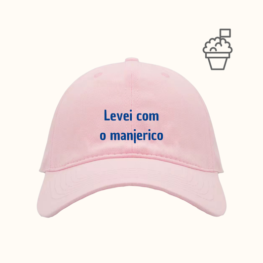 Levei com o manjerico