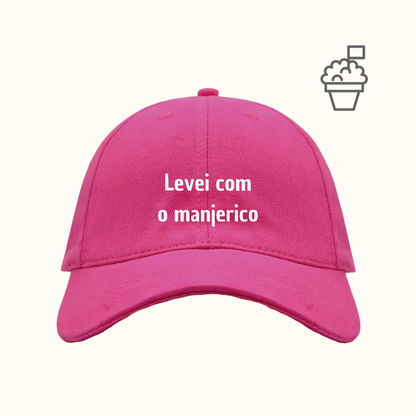 Levei com o manjerico