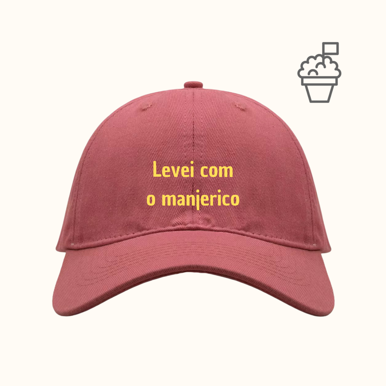 Levei com o manjerico
