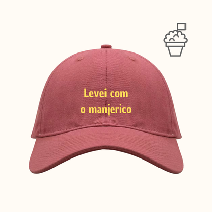 Levei com o manjerico