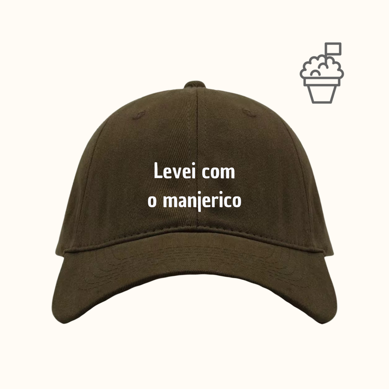 Levei com o manjerico