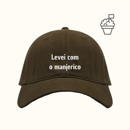 Levei com o manjerico